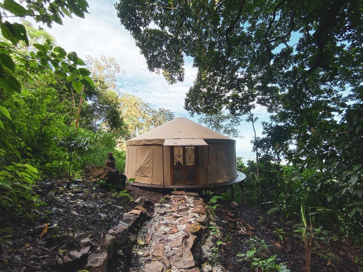 فندق Trekker Glamping مينسا المظهر الخارجي الصورة