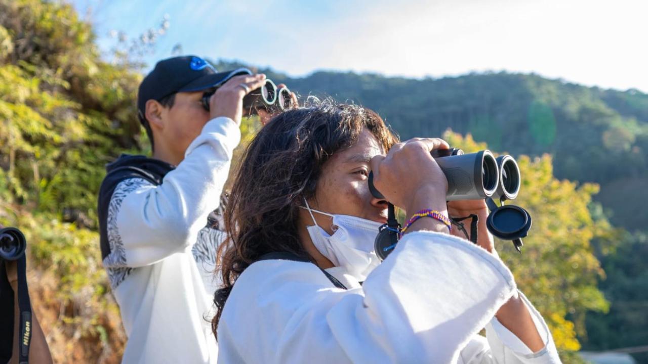 فندق Trekker Glamping مينسا المظهر الخارجي الصورة